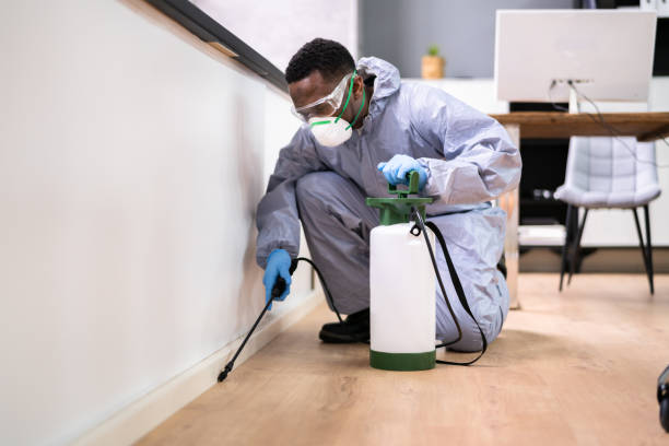 Best Real Estate Pest Inspections  in Roselle Park, NJ